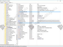 Windows 10 Cloud leak (3)