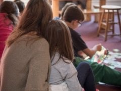 Omilos OTE Koinofeleis Organismoi 4