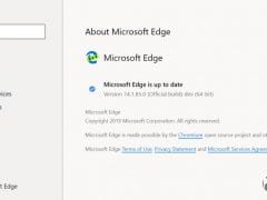 Microsoft Edge Chromium screenshot leak 3