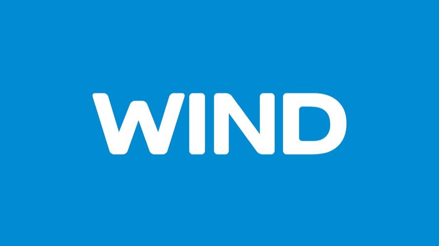 WIND Logo NEW ID 2