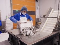 COSMOTE TV Start-up Ελλάδα