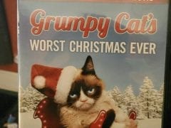 Grumpy Cat 3